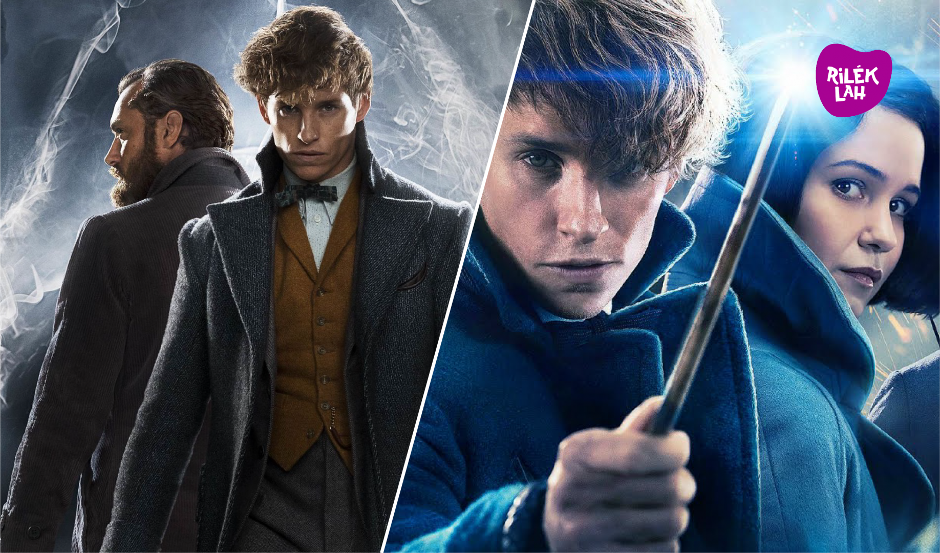 28+ Fantastic Beasts 1 Timeline 2022 | Hutomo